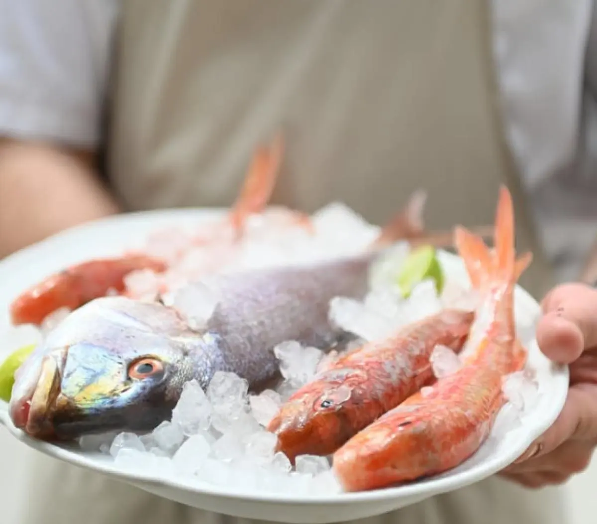 Fresh fish and red prawns on ice